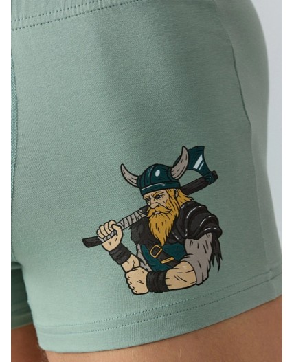 Трусы зеленый лед +печать