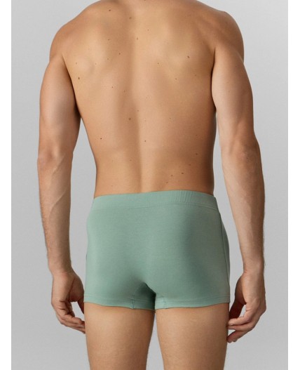 Трусы зеленый лед +печать