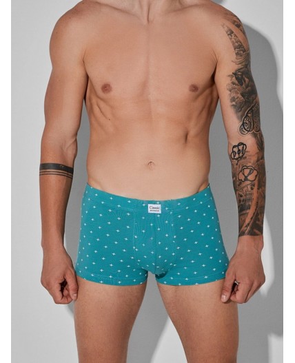 Трусы узор на персидском зеленом