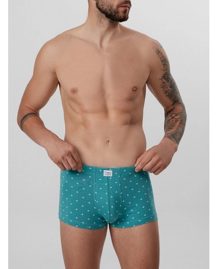 Трусы узор на персидском зеленом