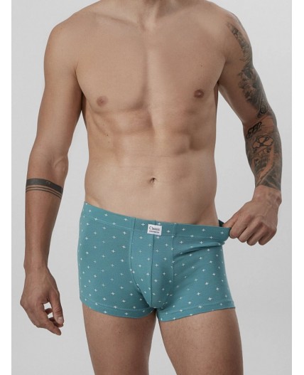 Трусы узор на персидском зеленом