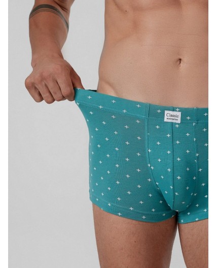 Трусы узор на персидском зеленом