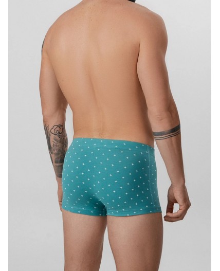 Трусы узор на персидском зеленом