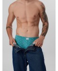 Трусы узор на персидском зеленом