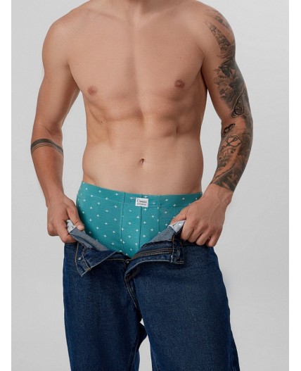 Трусы узор на персидском зеленом