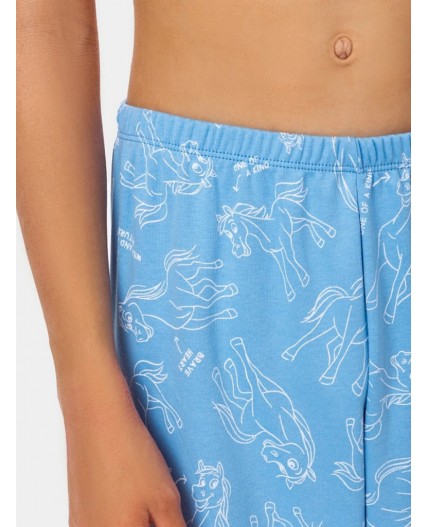 Комплект лошадки на голубом