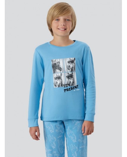 Комплект голубой +лошадки на голубом