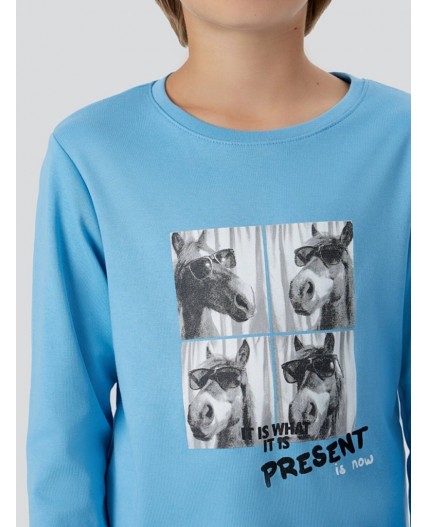 Комплект голубой +лошадки на голубом