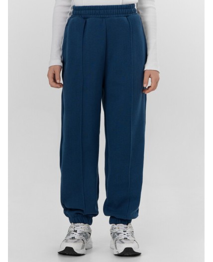 Брюки синий