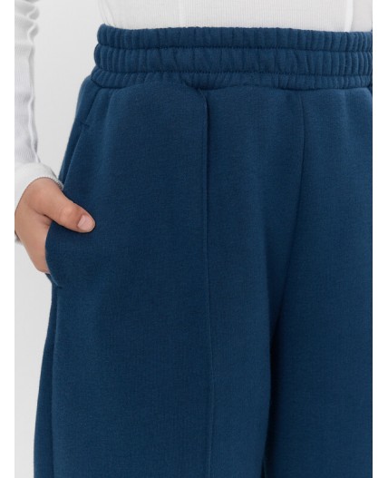 Брюки синий