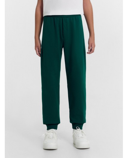 Брюки зелёный