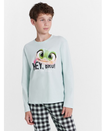 Комплект пыльная мята +графитовая клетка