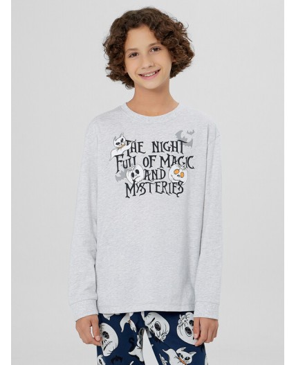 Комплект серый меланж 4306-А +привидения на синем