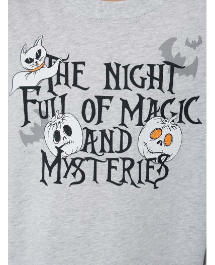 Комплект серый меланж 4306-А +привидения на синем