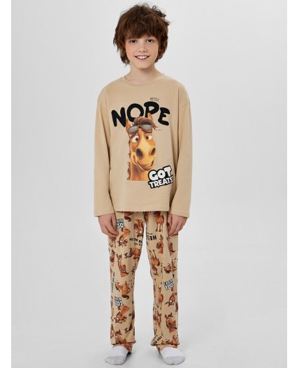 Комплект ирландский крем +лошади на ирландском креме