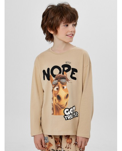 Комплект ирландский крем +лошади на ирландском креме