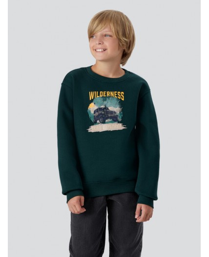 Джемпер пихта +печать