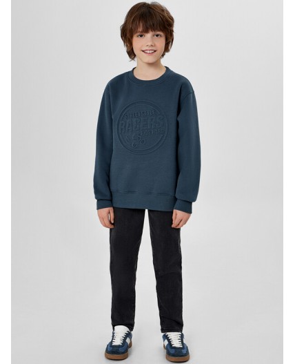 Джемпер серо -синий +печать