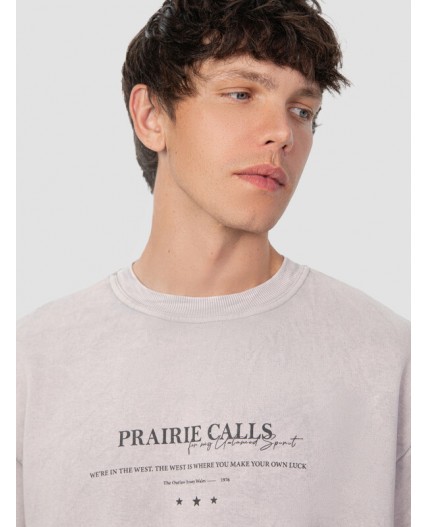 Свитшот ACID WASH серый +печать