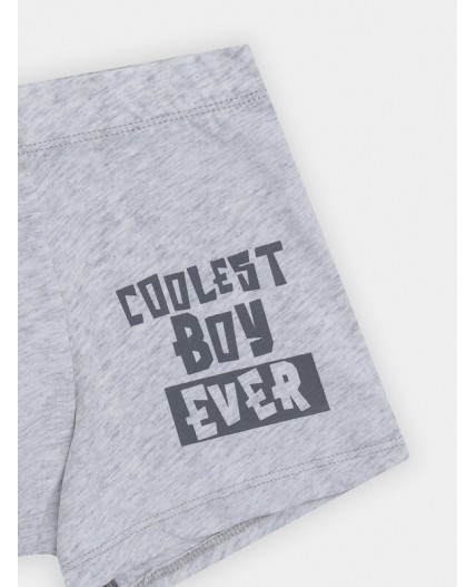 Трусы серый меланж 4306-А +печать1