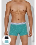Трусы узор на персидском зеленом +черный