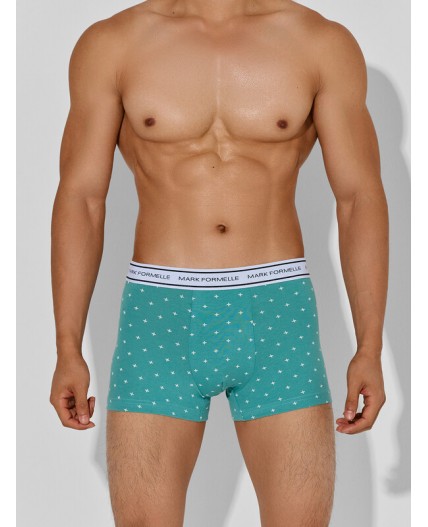 Трусы узор на персидском зеленом +черный