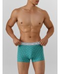 Трусы узор на персидском зеленом +черный