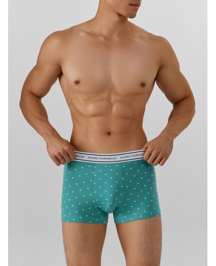 Трусы узор на персидском зеленом +черный