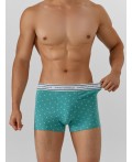 Трусы узор на персидском зеленом +черный