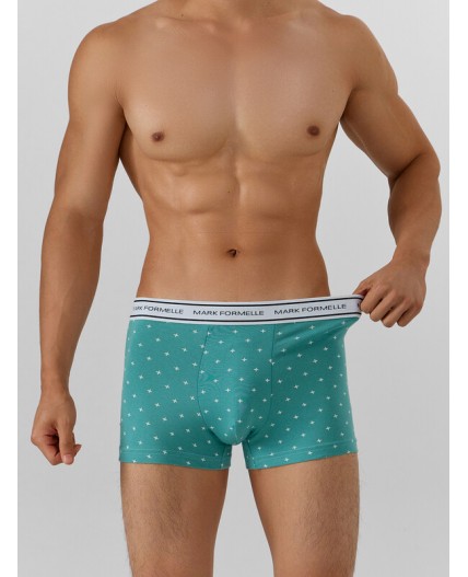 Трусы узор на персидском зеленом +черный