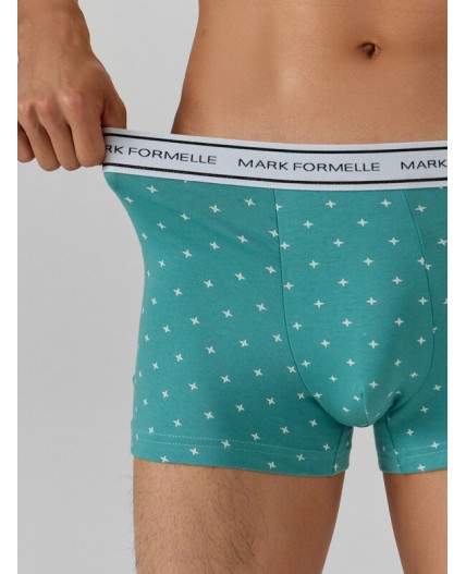 Трусы узор на персидском зеленом +черный