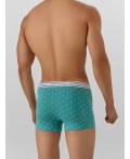 Трусы узор на персидском зеленом +черный