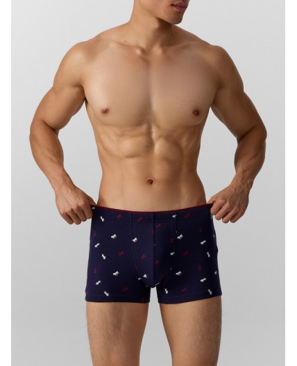 Трусы лошади на т.синем