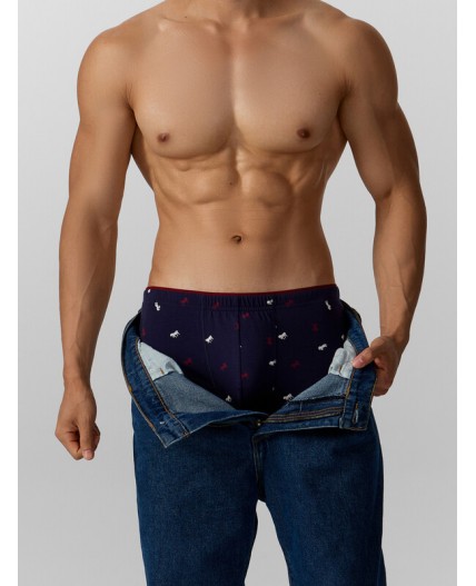 Трусы лошади на т.синем