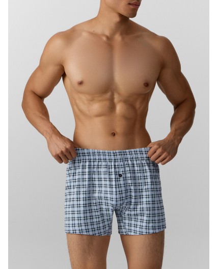 Трусы клетка на серо -голубом