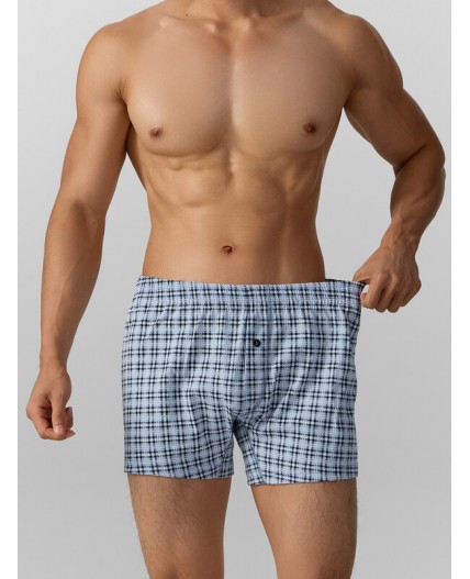 Трусы клетка на серо -голубом