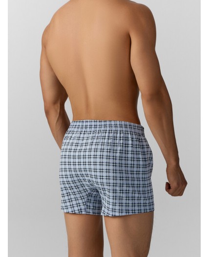 Трусы клетка на серо -голубом