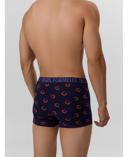 Трусы огненные лошади на т.синем