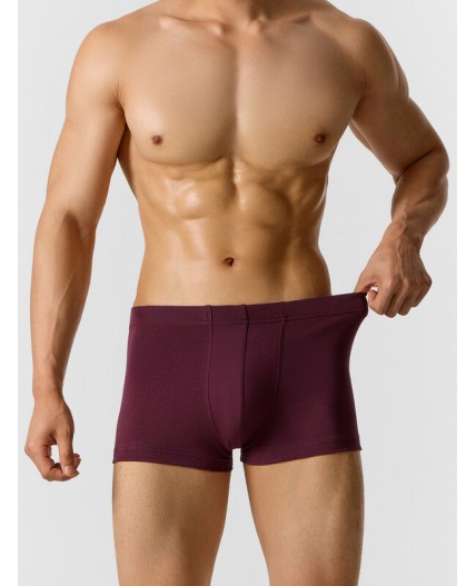 Трусы винный