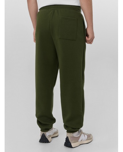 Брюки осенний мох