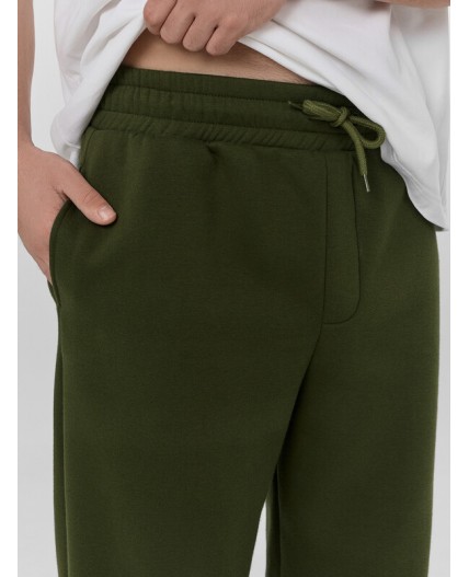 Брюки осенний мох