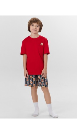 Комплект спелая вишня +капибары на графитовой полоске