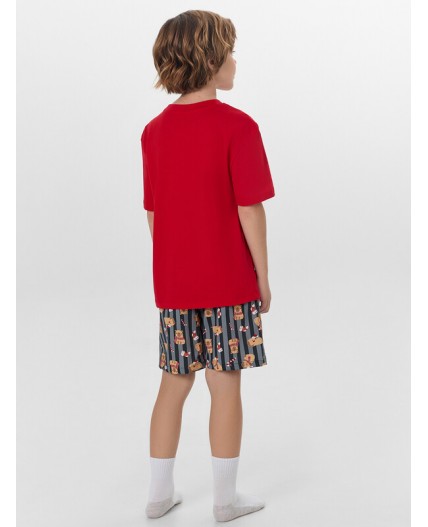 Комплект спелая вишня +капибары на графитовой полоске