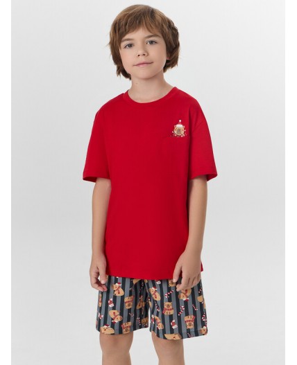 Комплект спелая вишня +капибары на графитовой полоске