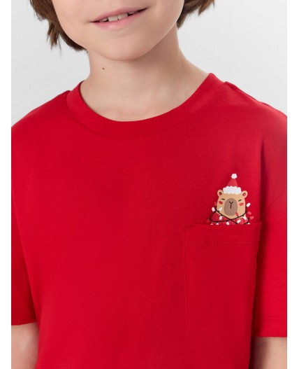 Комплект спелая вишня +капибары на графитовой полоске