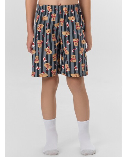 Комплект спелая вишня +капибары на графитовой полоске