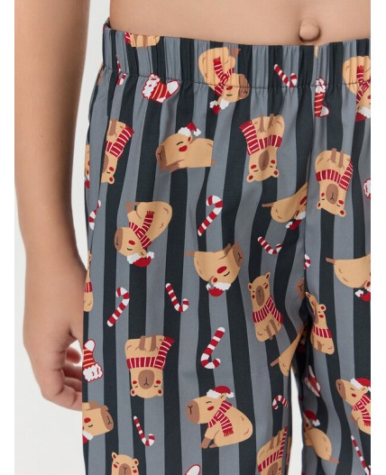 Комплект спелая вишня +капибары на графитовой полоске