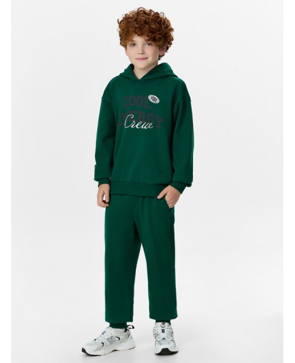 Комплект хвоя +печать