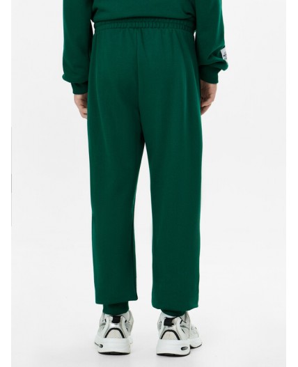 Комплект хвоя +печать