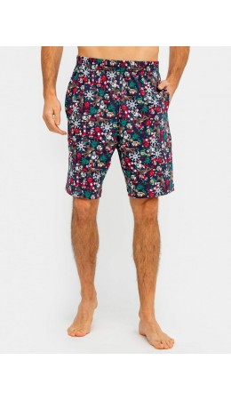 Шорты Новый Год на морском